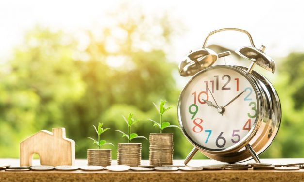 INFORMARE – NOI OPORTUNIȚĂȚI DE FINANȚARE PENTRU SECTOARELE AGRICOL, NONAGRICOL ȘI POMICOL!