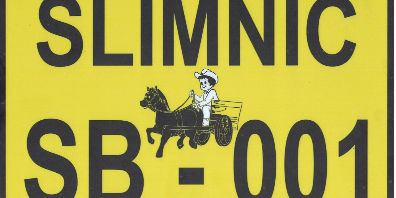 ANUNȚ PRIVIND TRANSFERUL MASEI LEMNOASE DIN PĂDURE CU VEHICULE NEÎNMATRICULATE/NEÎNREGISTRATE