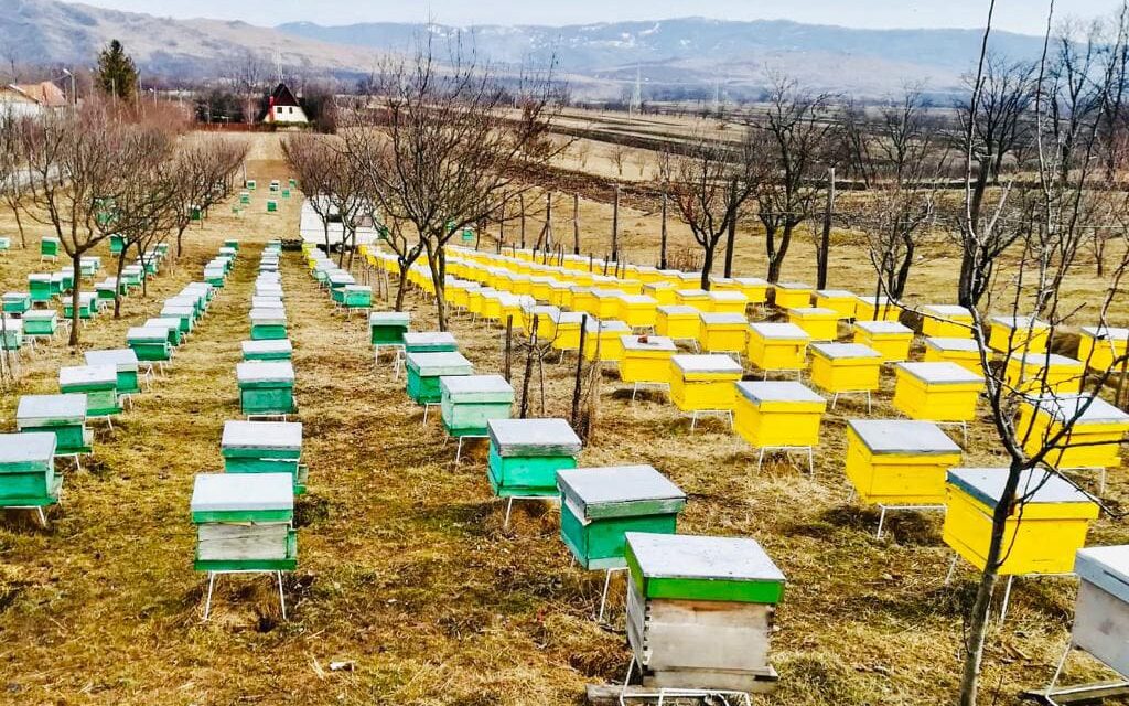 INFORMARE PENTRU APICULTORII DE PE RAZA COMUNEI SLIMNIC